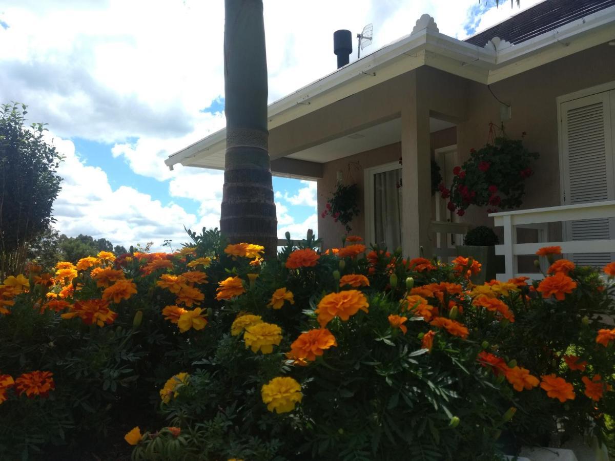 Casa Zanata Lägenhet Gramado Exteriör bild
